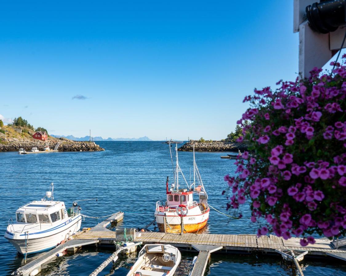 Rorbua Havfruen Sørvågen